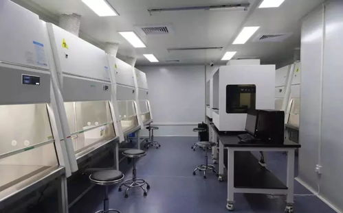 手握科技利剑 园区科技企业与疫情赛跑
